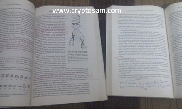 Kız tavlama notları