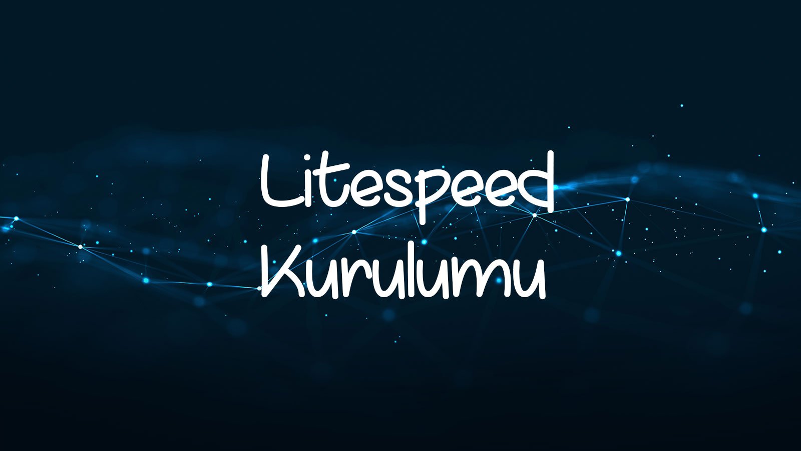 Litespeed Whm Plugin Kurulumu