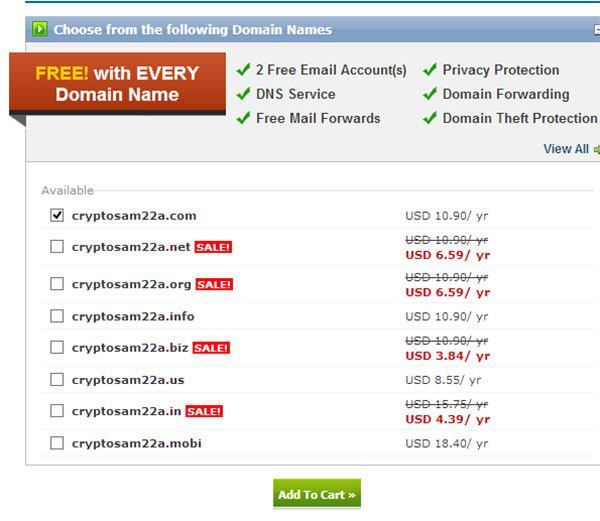 Domain kayıt aşaması