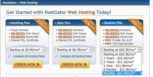 Hostgatorde paket ücretleri aylık, 6 aylık yıllık seçiminize göre değişir. Yani aylık ödeme seçersenz az bişey daha fazla ödersiniz. Örneğin Business plan aylık: 11.96$ iken 3yıllık alımda 10.36$x12 ye denk geliyor. Çokta bir fark yok aslen. :)