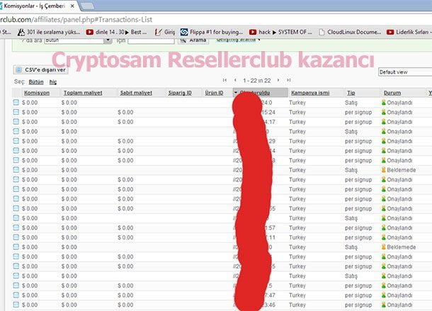 Resellerclub affiliate sistemi ile elde ettiğim kazanç