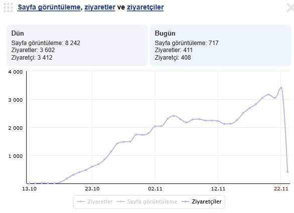 Ziyaretçi durumu