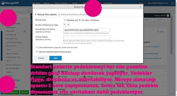 İster dropbox'a ister Google Drive'a ister ftpnize sitenizi tek tıkla yedekliyorsunuz.